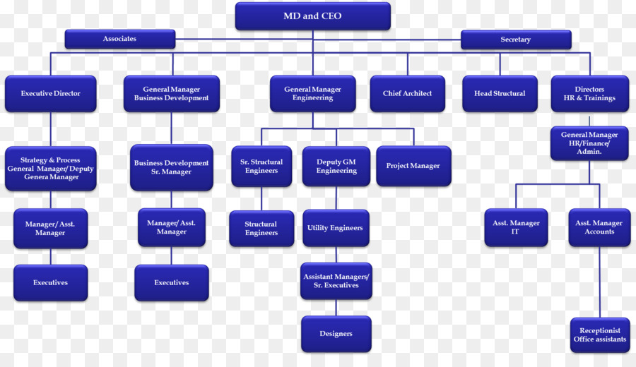 Tổ chức biểu đồ phát triển kinh Doanh cơ cấu tổ Chức - đồ tổ chức