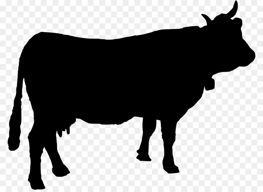 Holstein Friesian bestiame Silhouette - Mucca Testa