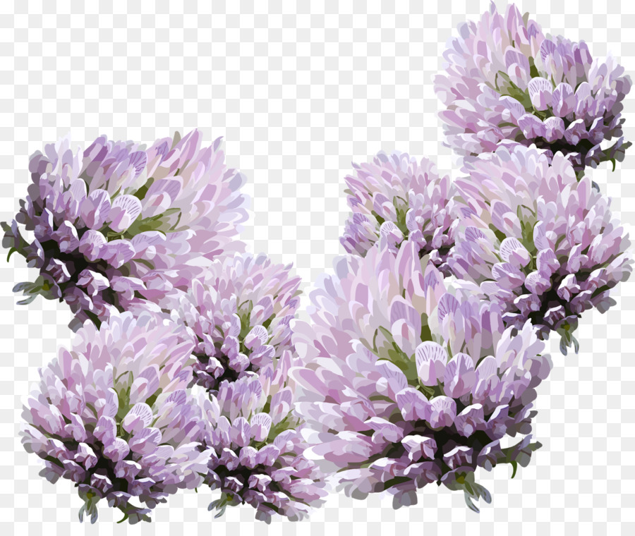 Blume Startseite E-Mail-clipart - Lavendel Blume