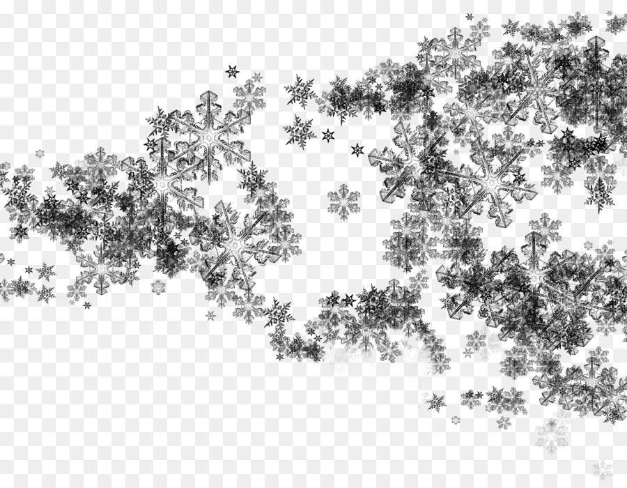 La fotografia Clip art - neve albero