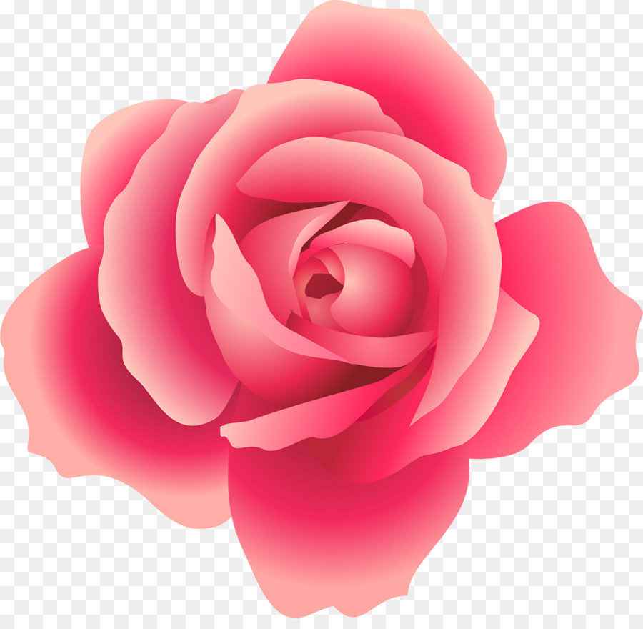 Rose Clip Art - rosa rose