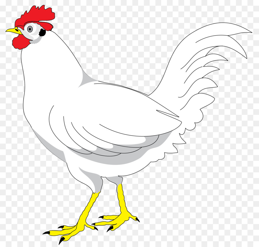 Plymouth Rock gà Hoạt hình Vẽ - Trang trại