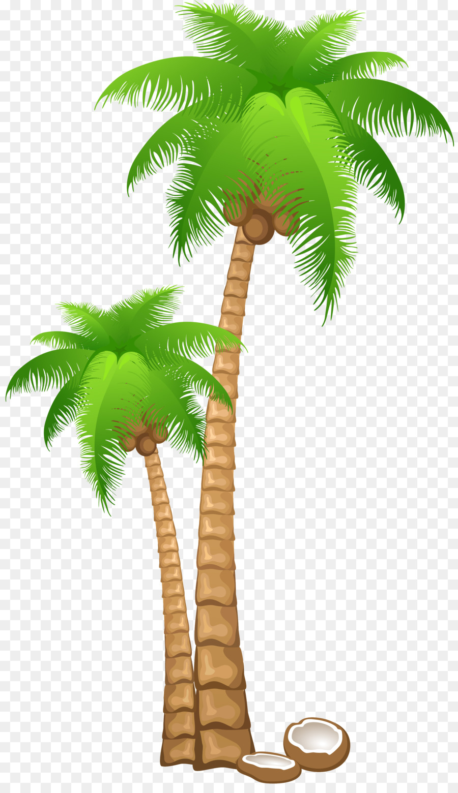 Coconut Tree Cartoon png download - 2239*3848 - Free Transparent Coconut  png Download. - CleanPNG / KissPNG