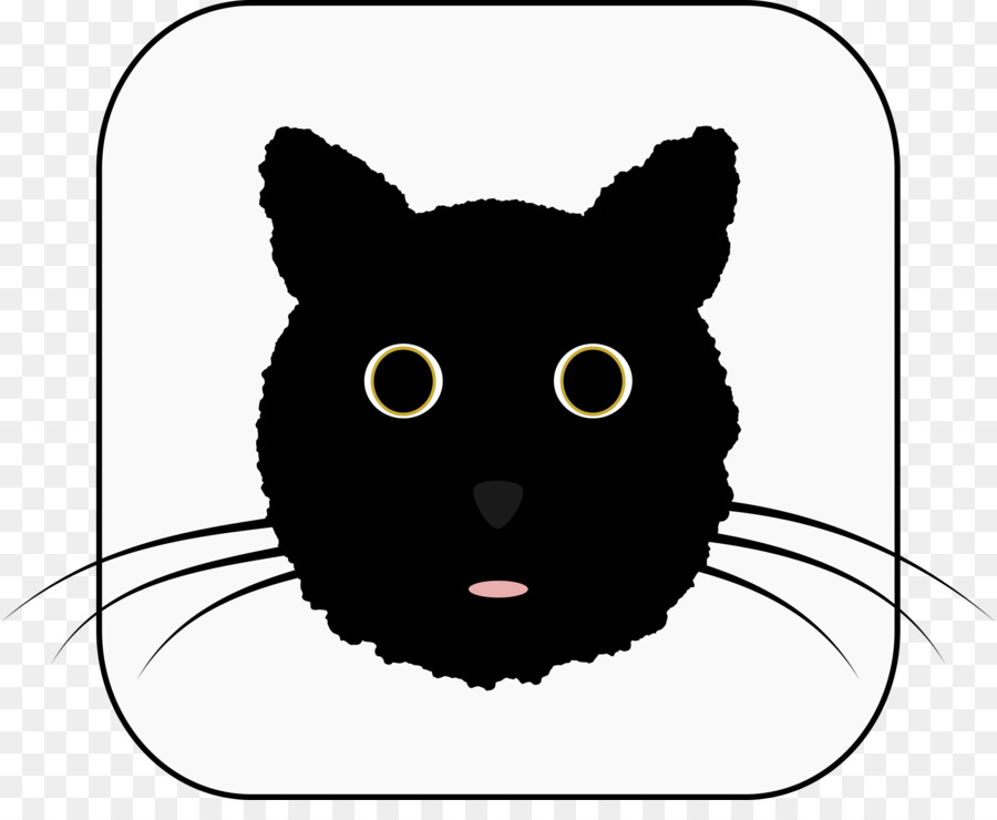 Schwarze Katze Kätzchen Schnurrhaare Säugetier - schwarze Katze