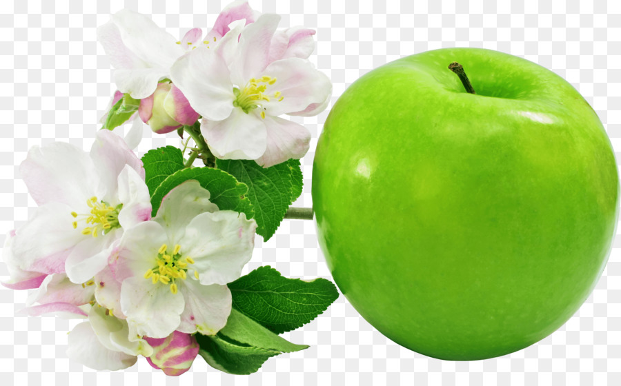 Apple Fiore Clip art - fiore di ciliegio