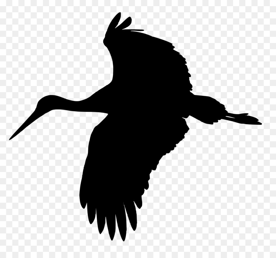 Weißstorch-Vogel Clip-art - Storch