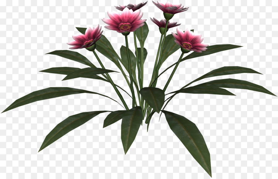 Schnittblumen, Blühende pflanze Blumentopf - Wasser Blume