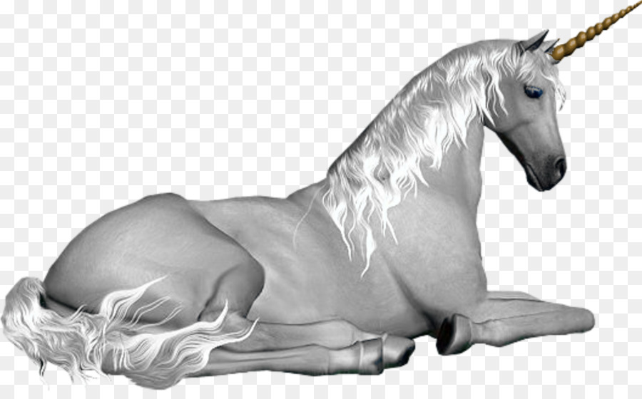 Unicorn Fairy Mythology Pegasus Legendäre Kreatur - Einhorn