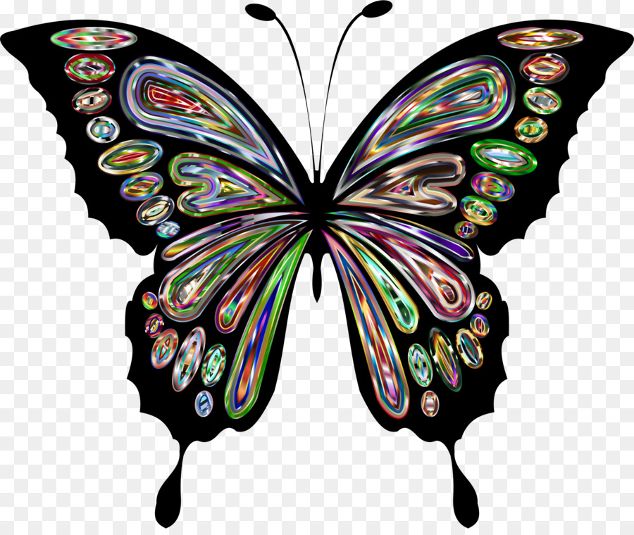 Farfalla Disegno Clip art - batterfly