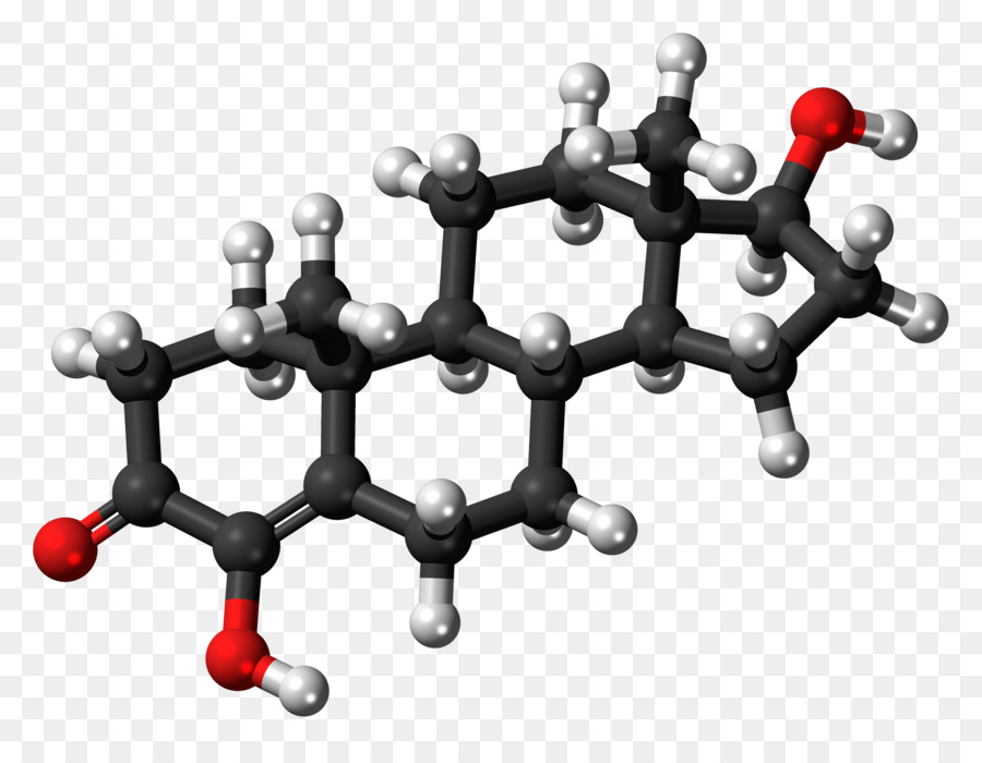 Lợi nhuận của Progestogen Estrogen Steroid hormone - hóa học