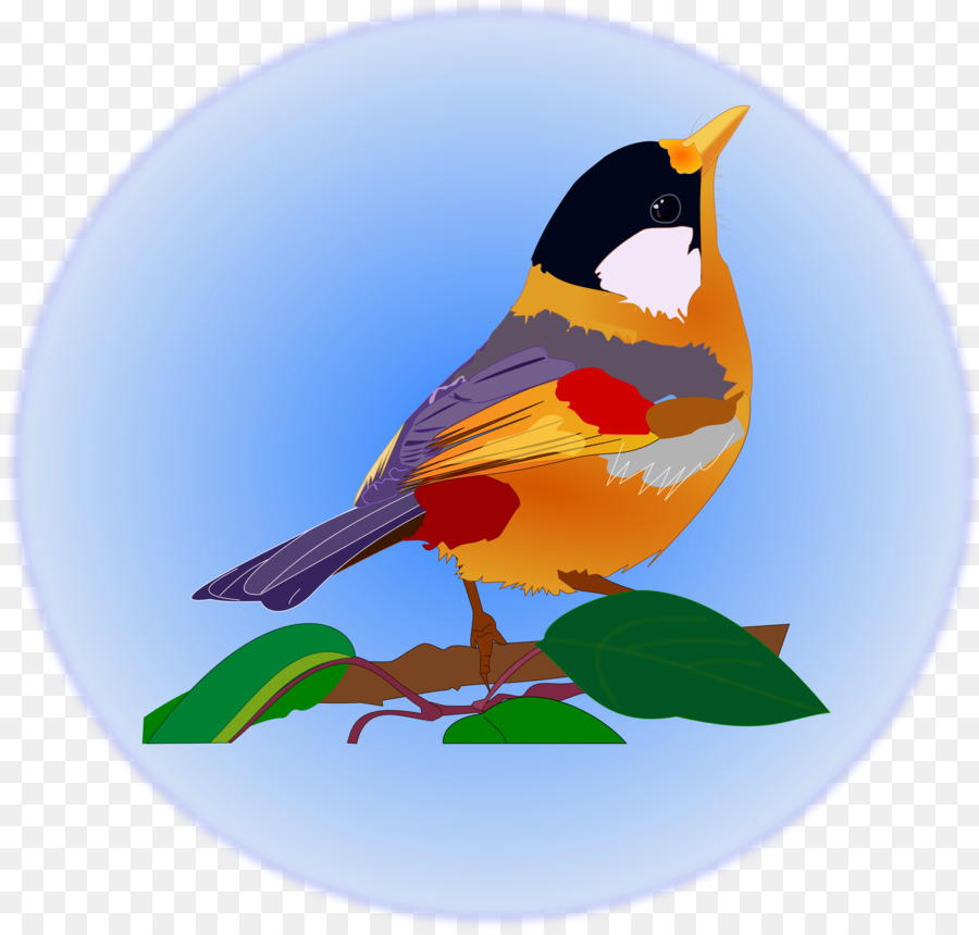 Uccello Animale Clip art - multicolore