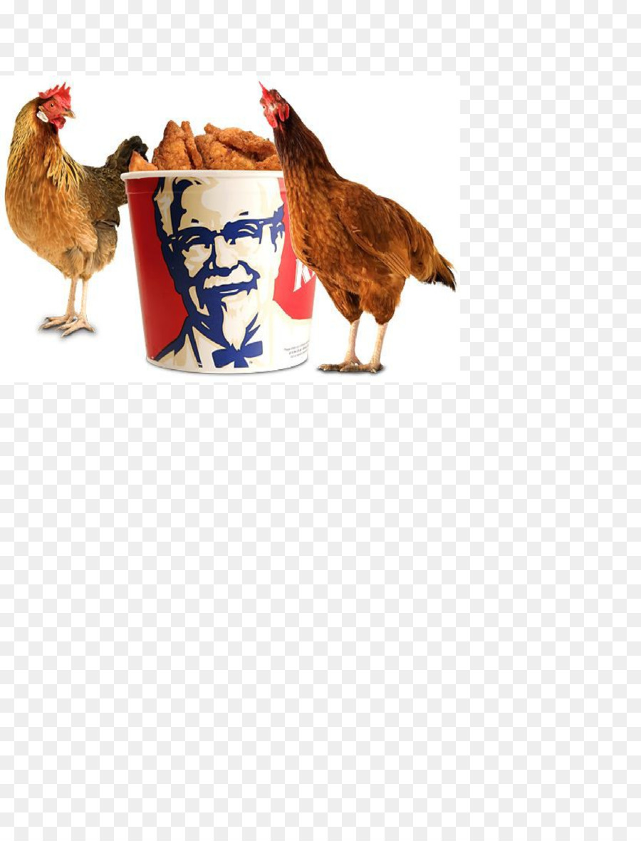 Il colonnello Sanders pollo Fritto di KFC Fast food - kfc