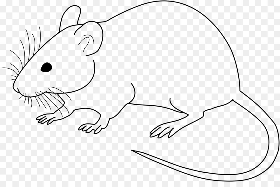 Phòng thí nghiệm chuột Thí nghiệm chuột Vẽ Clip nghệ thuật - bẫy chuột