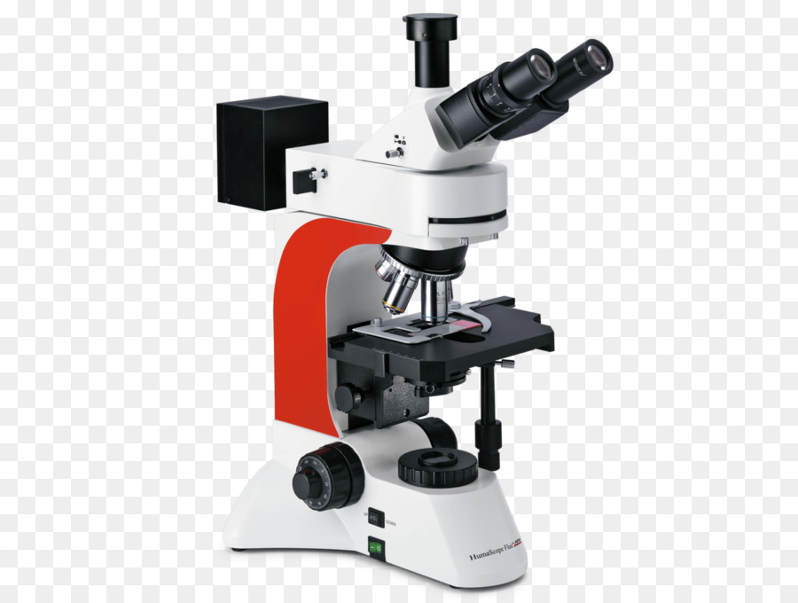 Huỳnh quang kính hiển vi Ánh sáng phát triển, - kính hiển vi