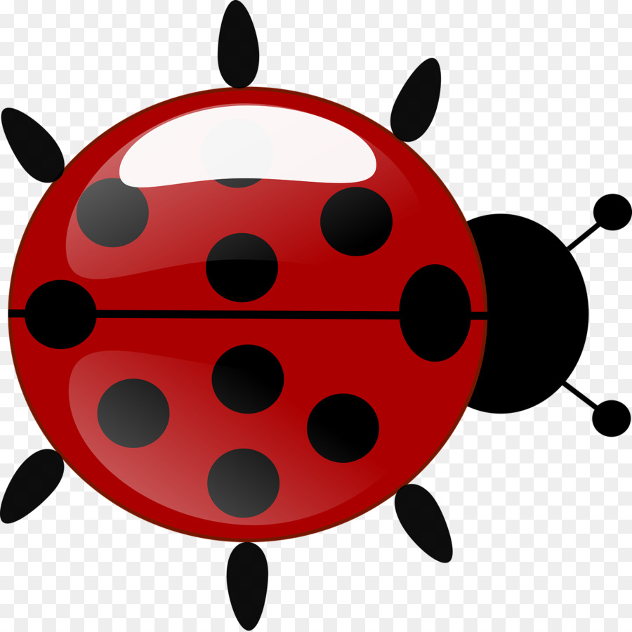 Beetle Maggiolino Antenna Clip art - coccinella