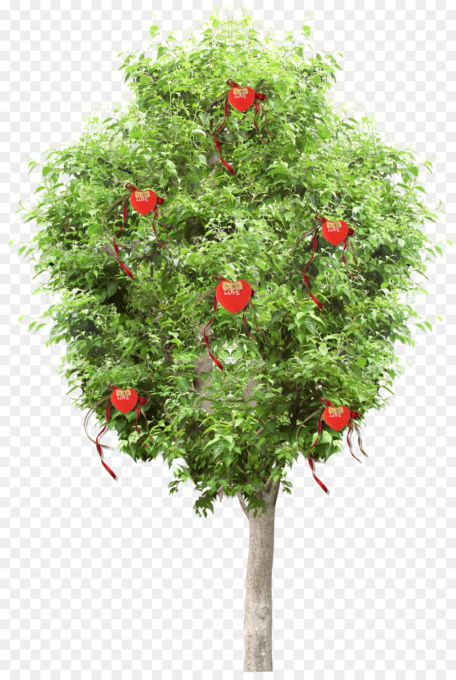 Baum Busch Blume Garten Rosen - Heiligen Nikolaus