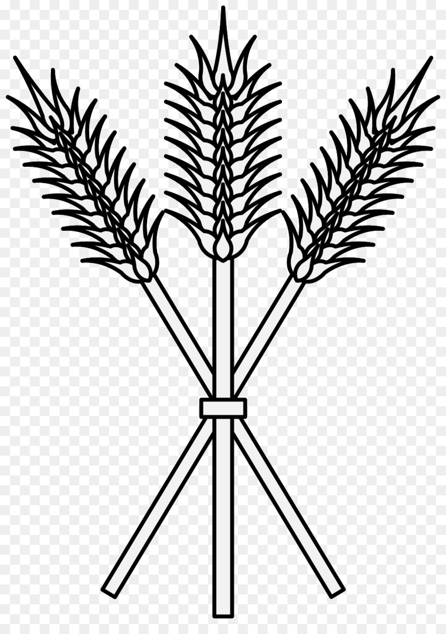 Gốc thực vật Vẽ huy hiệu Clip nghệ thuật - lúa mì