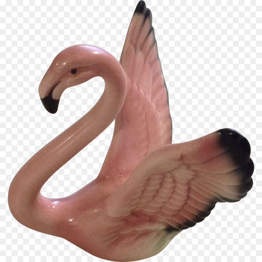 Wasser-Vogel-Schnabel-Figur Organismus - Flamingo