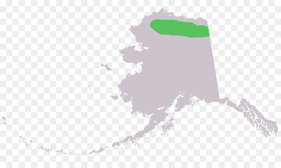 Alaska Russo America Mappa Vettoriale - mappa