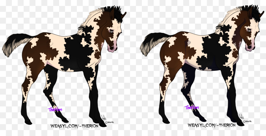 Chú Ngựa Mustang Con Ngựa Colt Mare - chimera