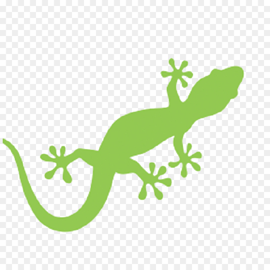 Eidechse Gecko Royalty-free - Eidechse