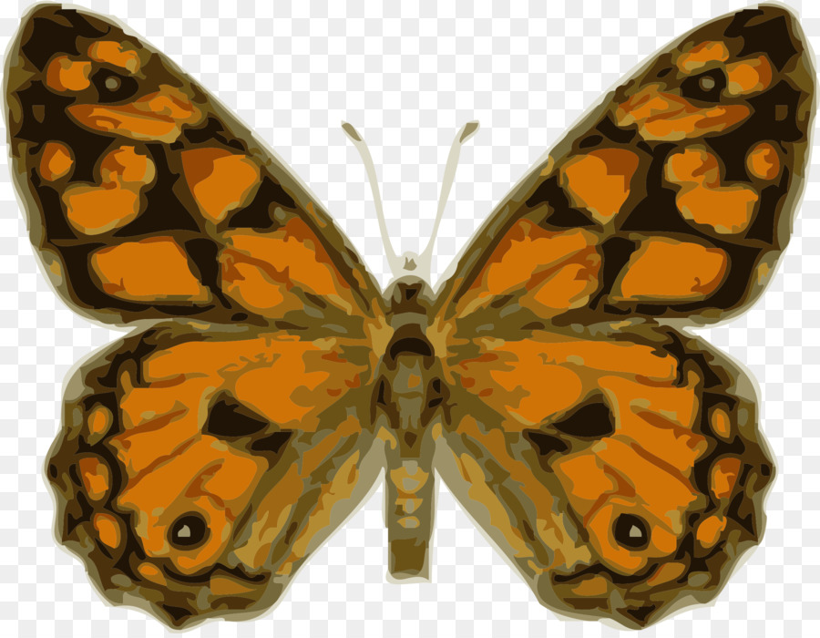 Monarch-Schmetterlings-Insekten-Royalty-free clipart - Fehler