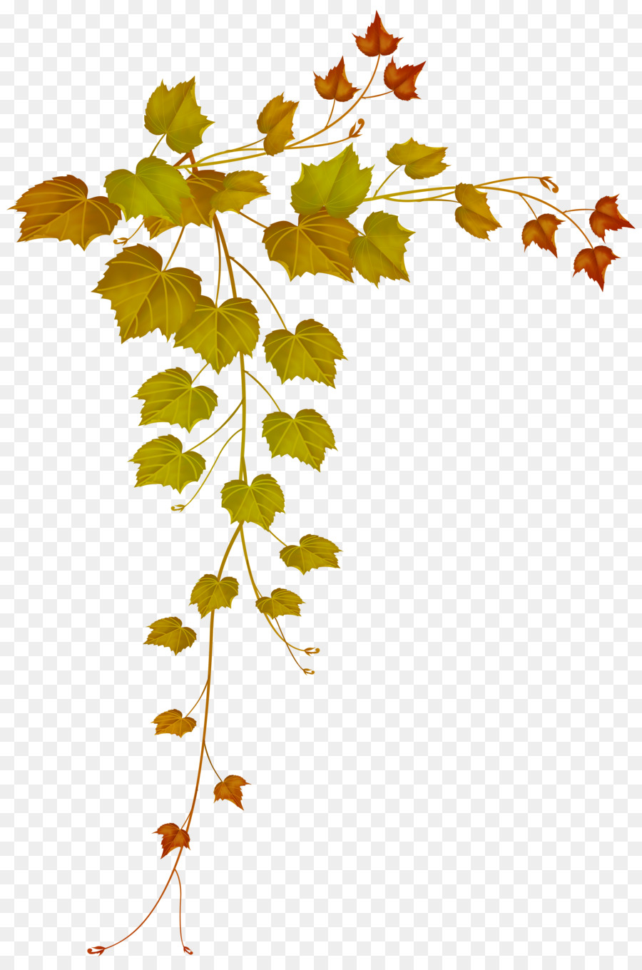 Autumn Tree Branch