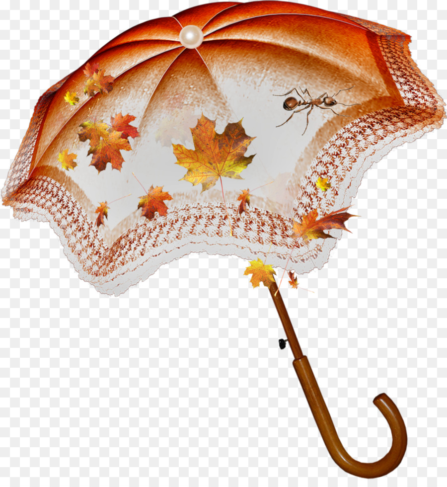 Regenschirm-Blog Herbst-Collage Clip-art - plash