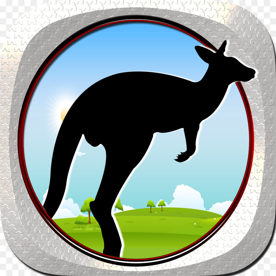 Thuộc Họ Chân To Hươu Động Vật Có Vú Kangaroo Ngựa - Kangaroo