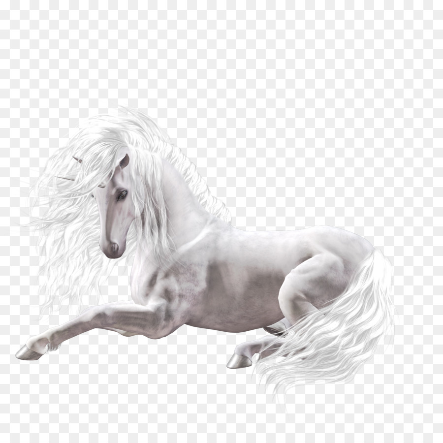 Unicorno Cavallo Adesivo Zaginiony rozkaz - cavallo