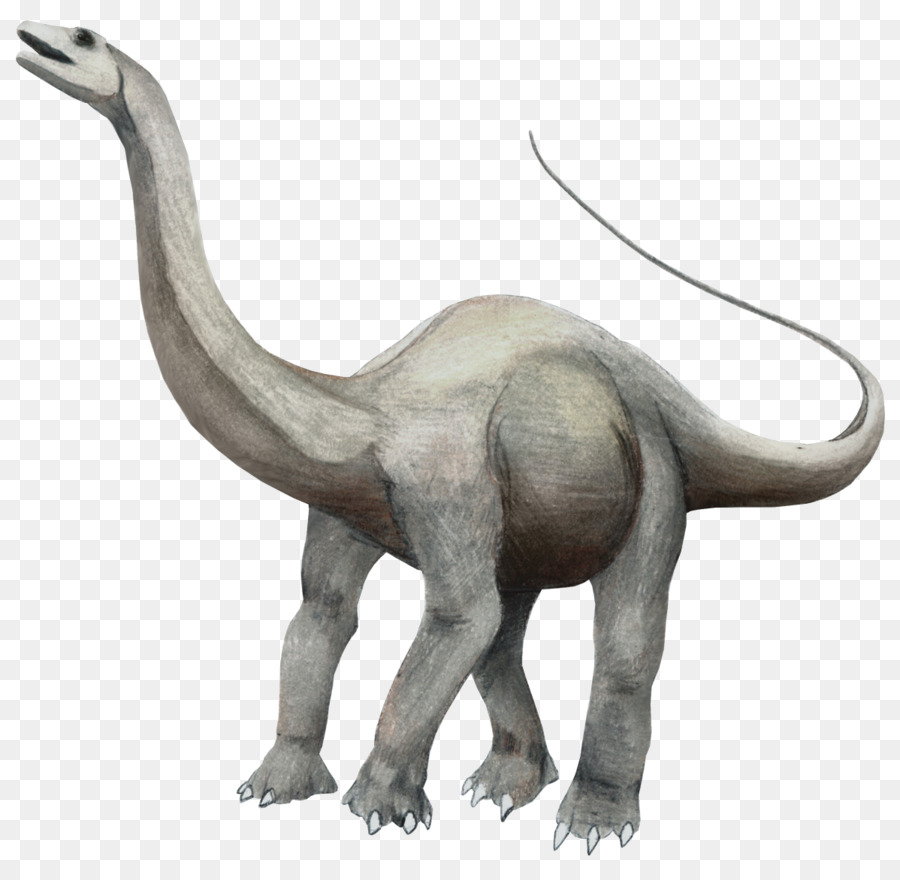 Brontosaurus Apatosaurus Brachiosaurus Triceratops Argentinosaurus - Dinosaurier