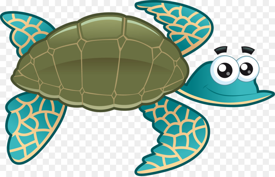 Rùa biển Vẽ - rùa