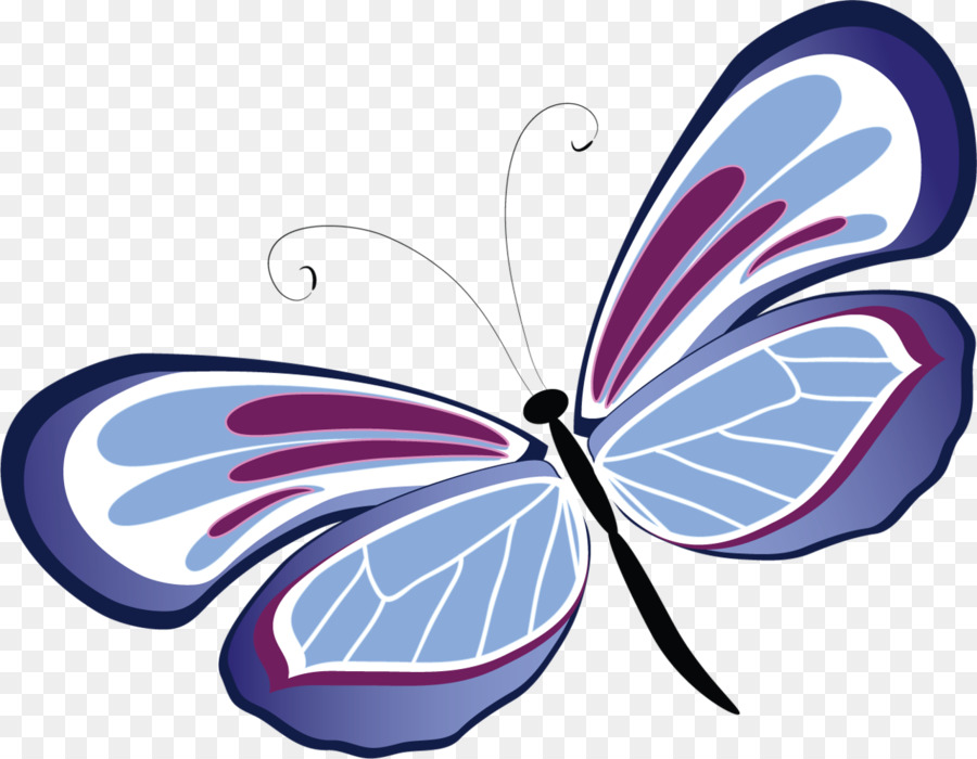 Amicizia Amore: Farfalla Infatuazione - farfalla