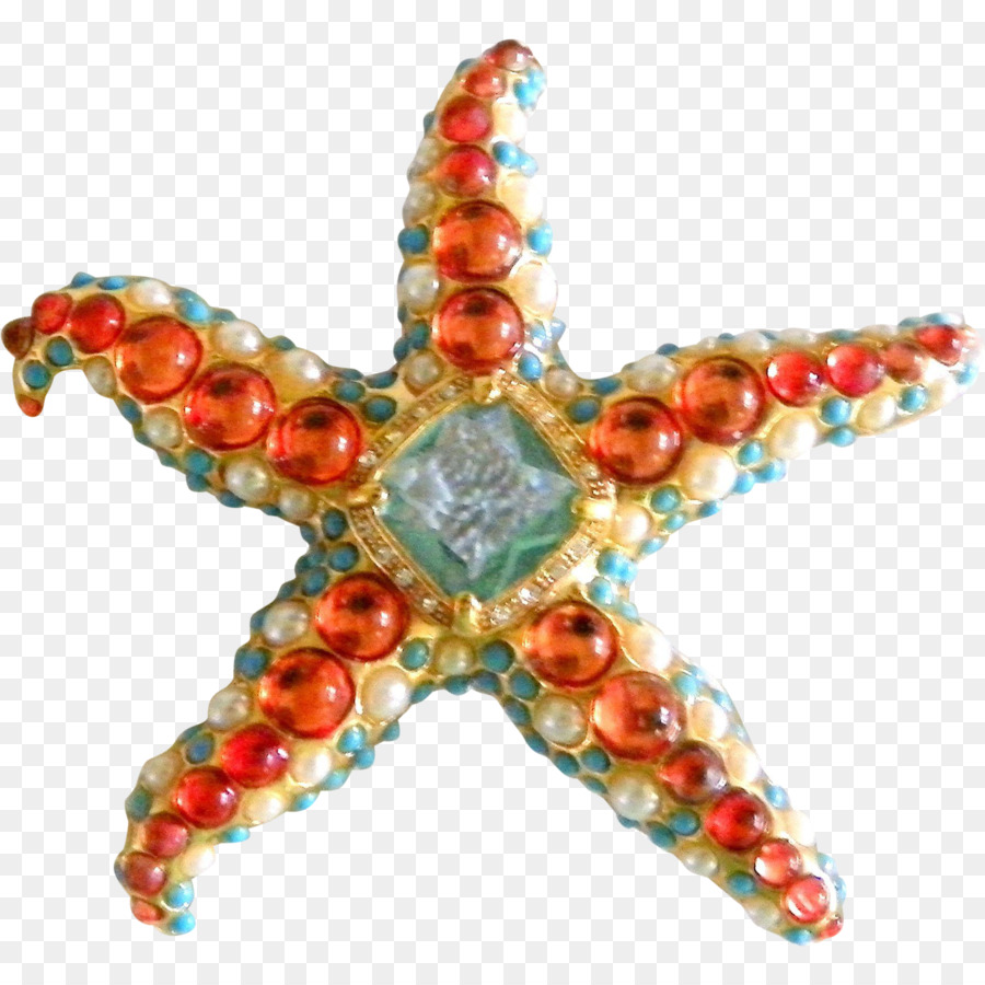 Gioielli del Cordone di Stella marina, Invertebrati design di Gioielli - stella marina