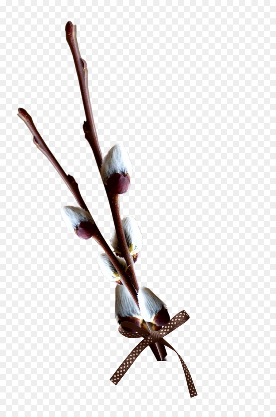 Clip art albero di salice - perno