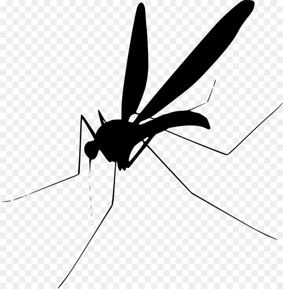 Mosquito control Computer Icone clipart - volare