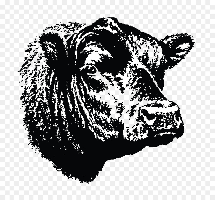 Angus gia súc thịt Bò trang Trại gia súc Bê trang Trại - Bull