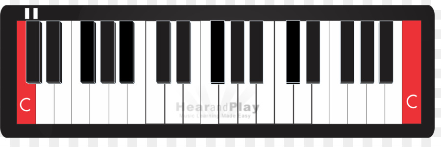 Nord Electro Musicali Elettronici Strumenti Musicali tastiera Elettronica tastiera - pianoforte