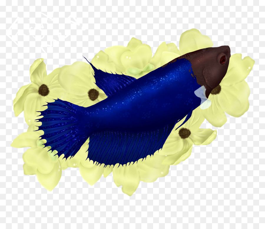 Marine Marine mammal Biologie Cobalt blue Electric blue Organismus - Betta
