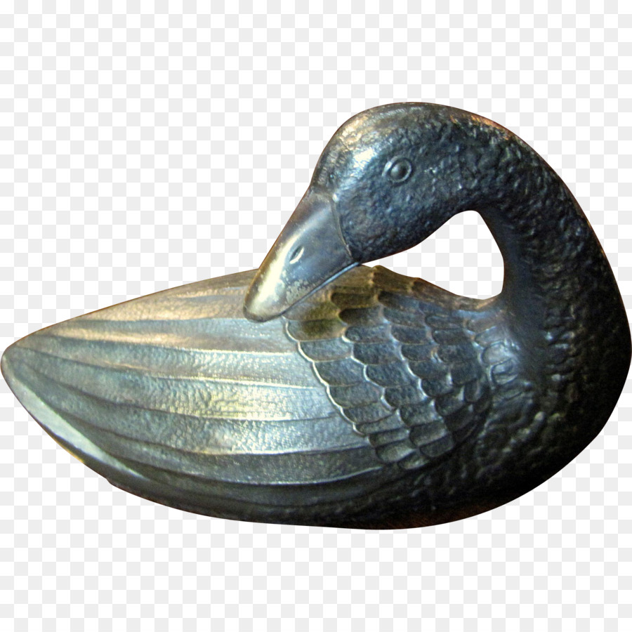Anatra Anatidi uccello acquatico d'Oca, uccelli Acquatici - D'oca