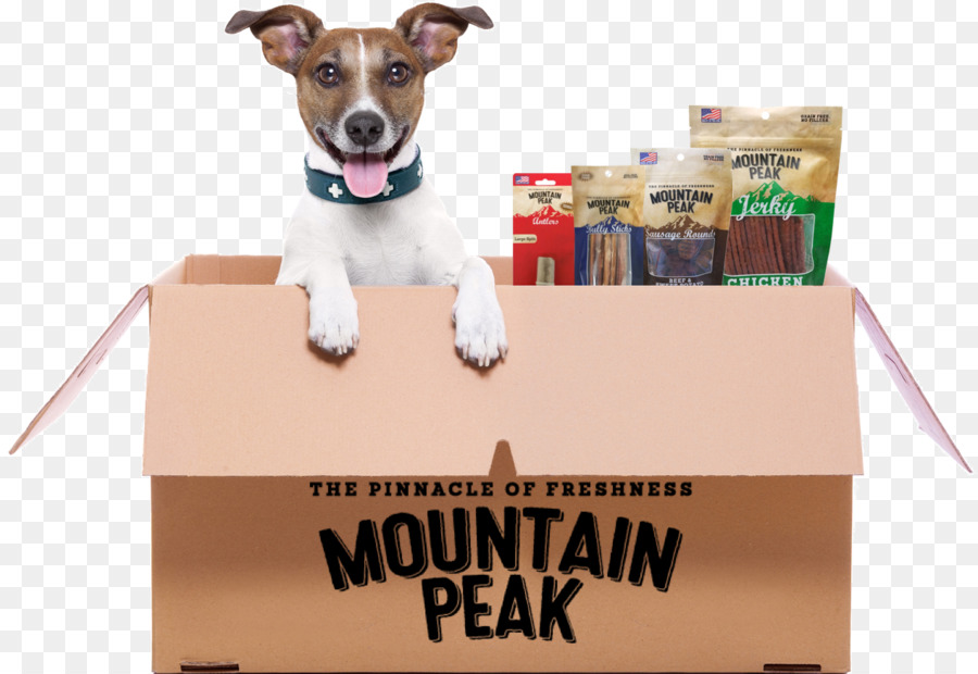 Jack Russell Terrier Animale domestico Gatto Raw alimentazione Cucciolo - Scatti