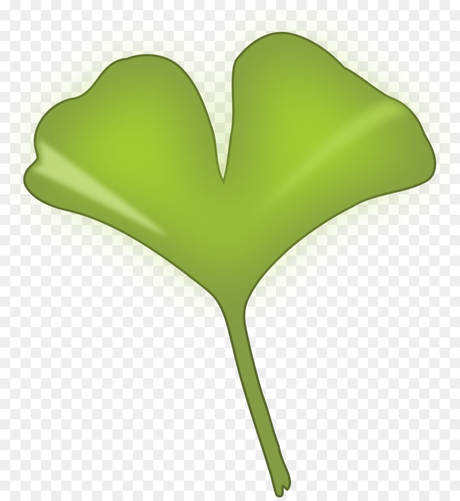 Ginkgo biloba-Baum Ginkgoaceae Clip-art - Blatt