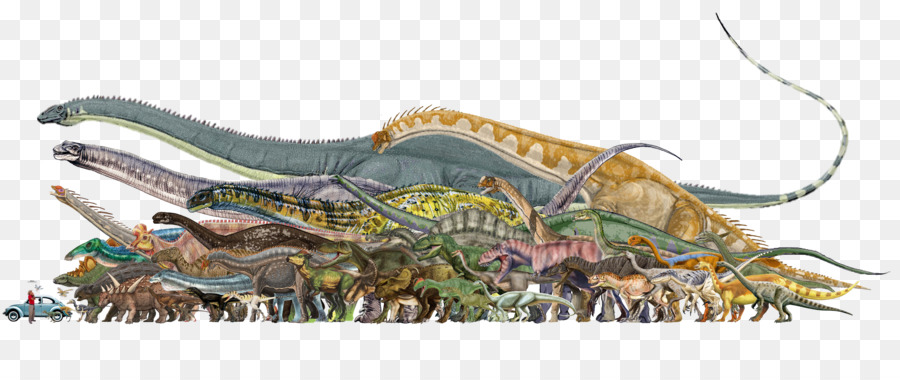 Tyrannosaurus Rettile Stegosauro Dinosauri Megalosaurus - Dinosauro