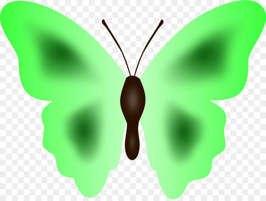 Bướm Côn trùng Moth Ngoại Clip nghệ thuật - bướm