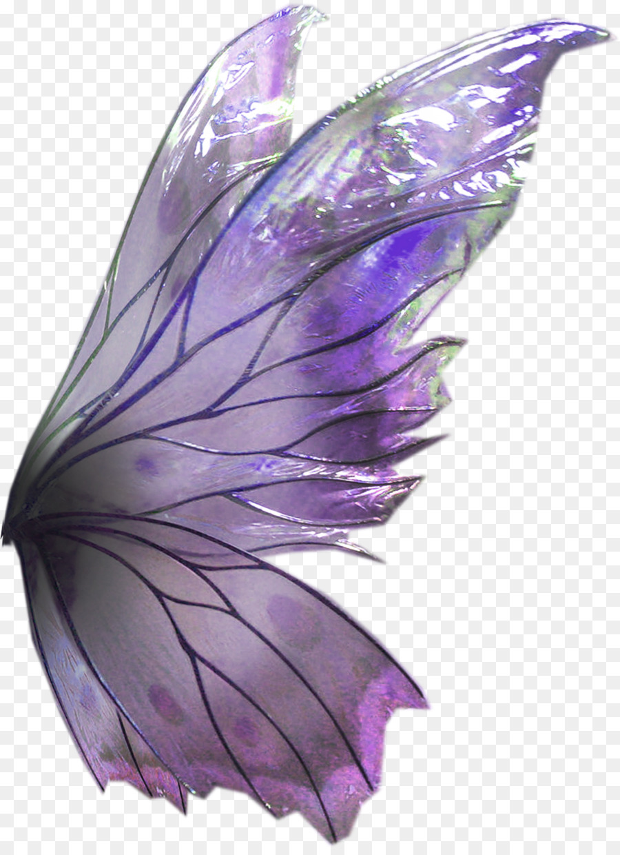 Schmetterlings-Lavendel Flieder Violett Lila - Schmetterling
