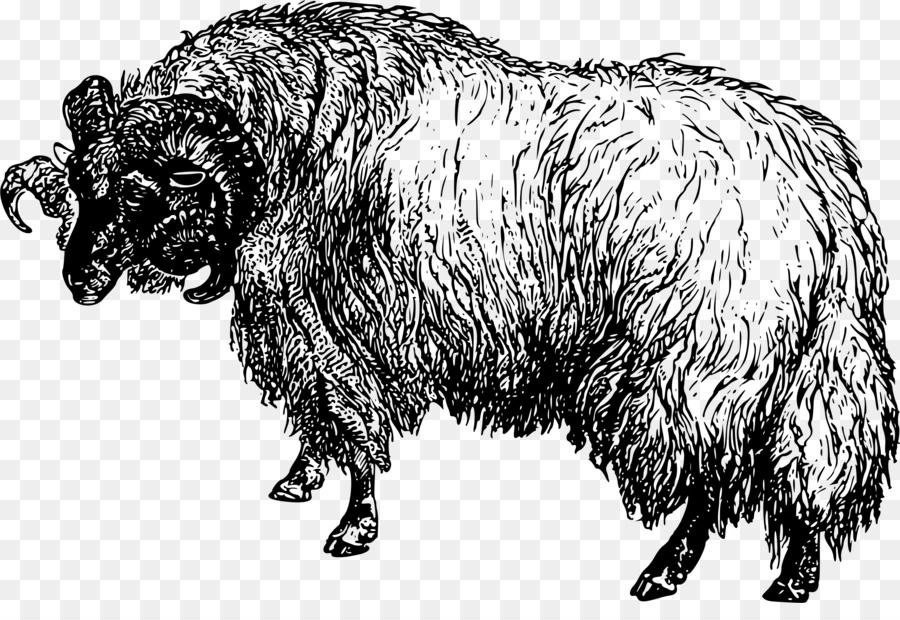 Rinder, Ziegen Merino Fett-tailed Schafe Clip art - tierischen Silhouetten