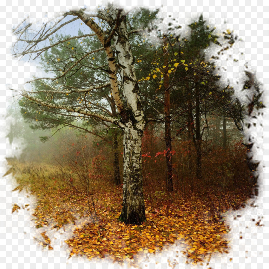 Desktop-Wallpaper-Laub-Landschaft - Herbst