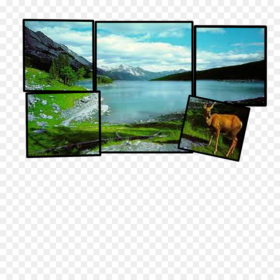 Fernsehlandschaft-Display-Gerät Ökosystem-Technologie - Filmstreifen
