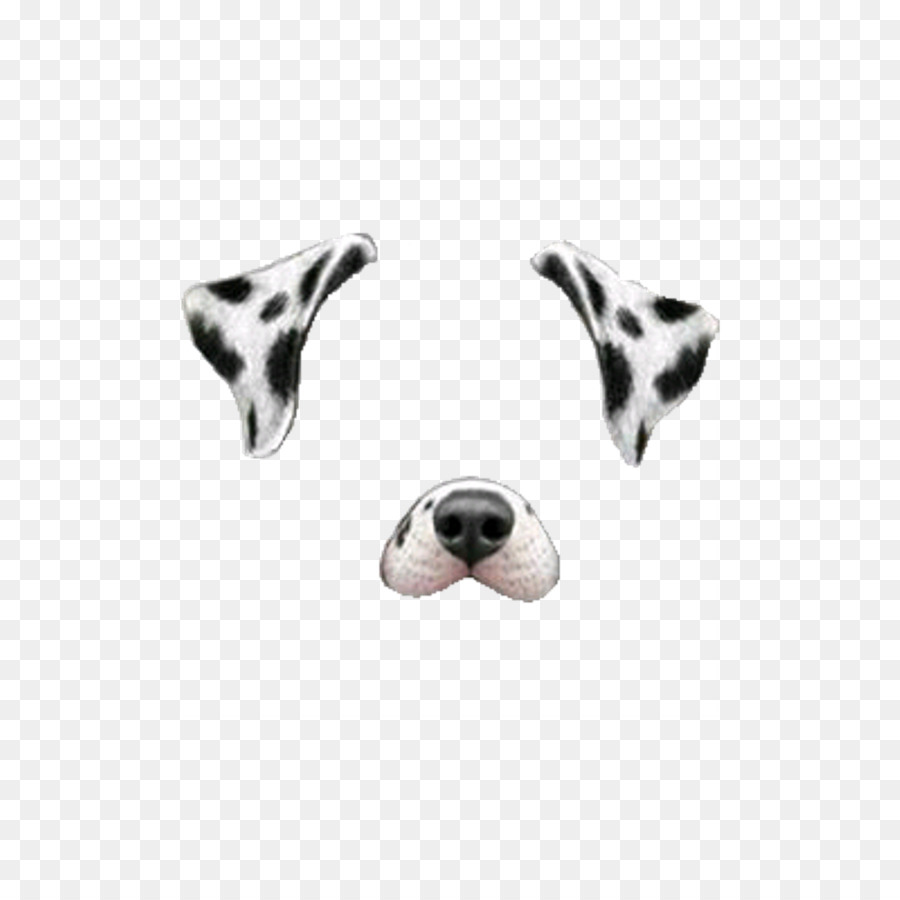 Dalmatiner Hund Miniature Schnauzer Snapchat Clip-art - Snapchat