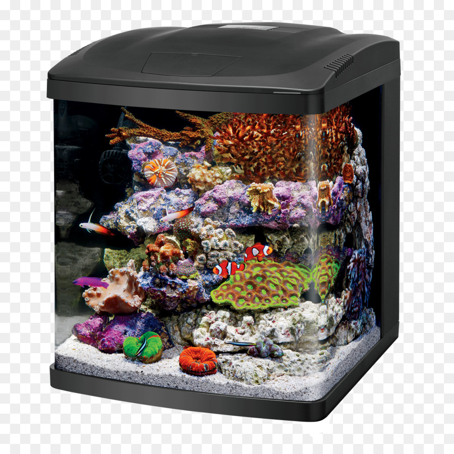 Acquari Reef aquarium Aquarium illuminazione in Vetro - il carro armato di pesce
